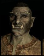 Portret-Haladmir.jpg