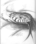 Snake.jpg