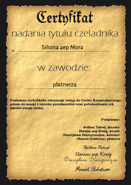 Plik:Certyfikat Silion 2.jpg